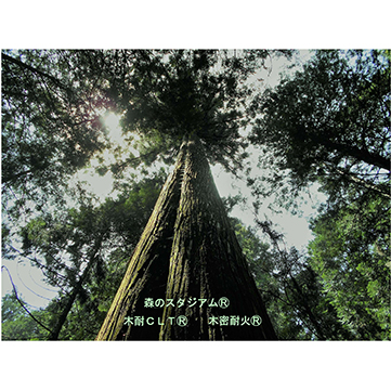 脱炭素社会の実現に向けて木材で耐震化を目指す