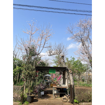 企業イメージ写真